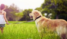 开心每一天的幽默句子