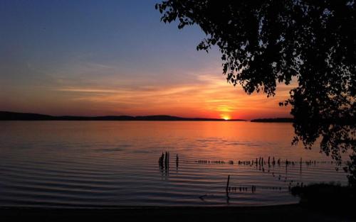 那些使人平静的好句子1