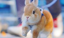 祝福开心的简单句子