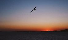 写给自己心累的句子