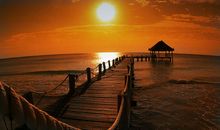 夕阳西下唯美的句子大全