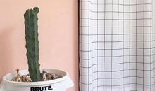 关于霸气励志短句