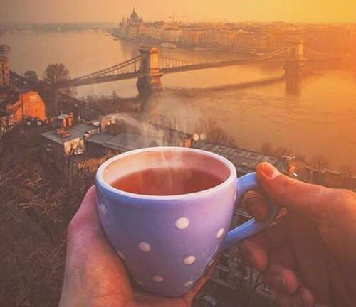 一个幸福的家庭的好句子