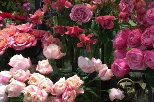 一句话春桃花开2