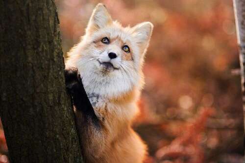 快乐无把戏句子2