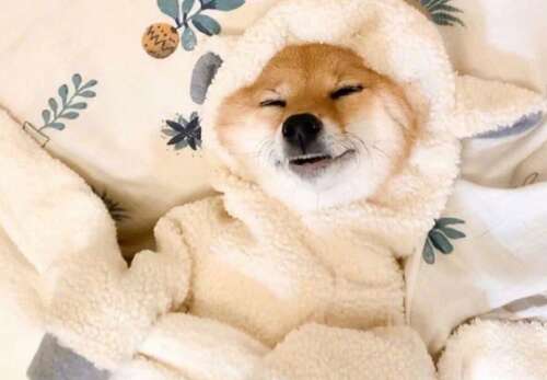 使女孩开心的句子1