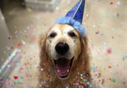 使女孩开心的句子2