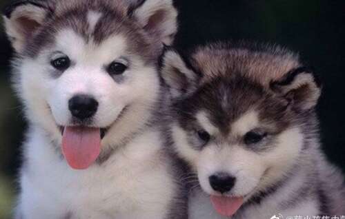 每天快乐的句子1