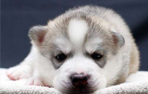 每天快乐的句子2