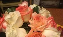 描写玫瑰花唯美的句子