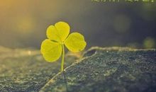 发微信朋友圈的人生感悟说说