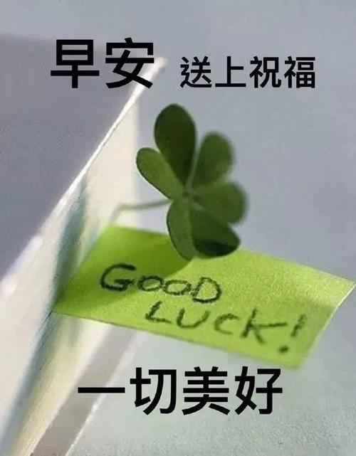 温暖的早上好问候