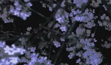 一句最让男人内疚的话