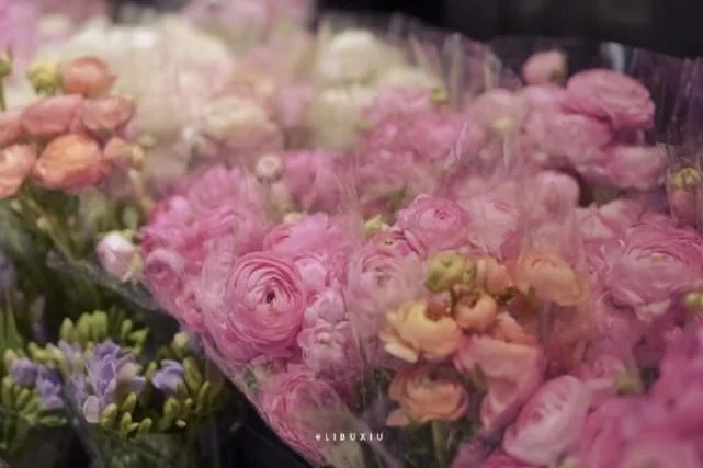 关于人生理想的美丽句子