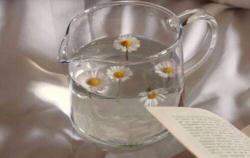 高EQ短语,适合在瞬间发布