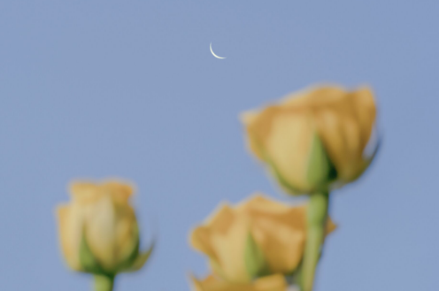 关于想念某人的句子