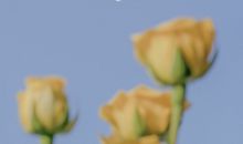 思念一个人的句子说说