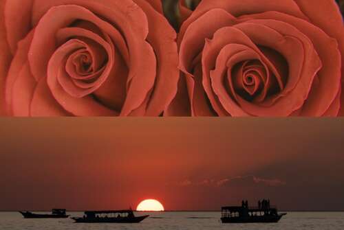 快乐的日常句子2