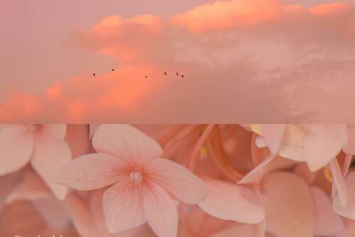 快乐的日常句子1