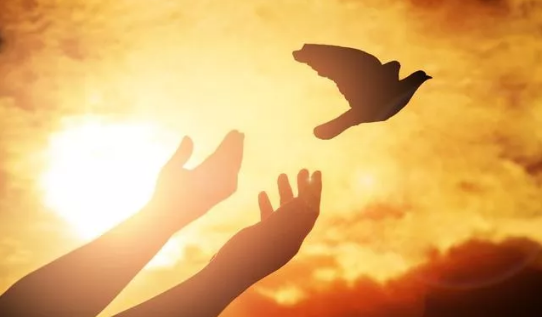 冬季阳光短励志句子