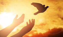 冬季阳光简短励志句子