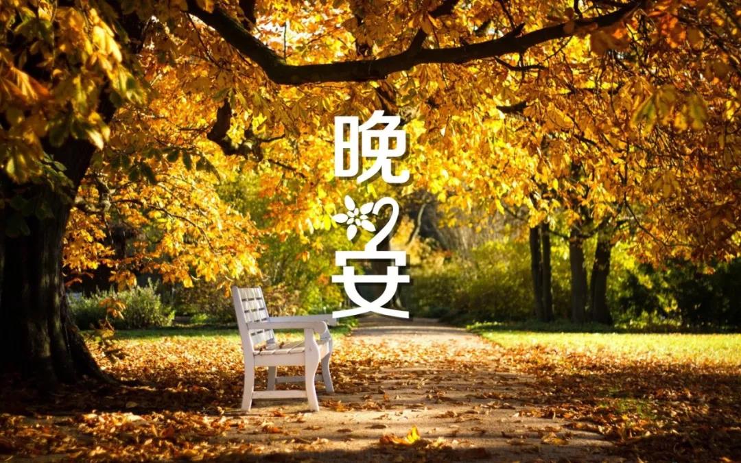 最闷热的晚安谈话