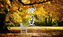 最撩人的晚安说说