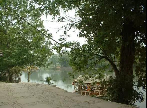 适合每种心情的句子1