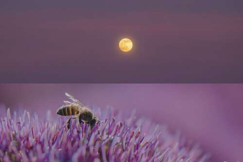 快乐的日常句子