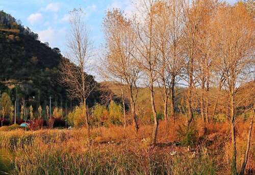 出差又快乐的句子1