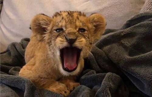 使您的朋友开心的句子1