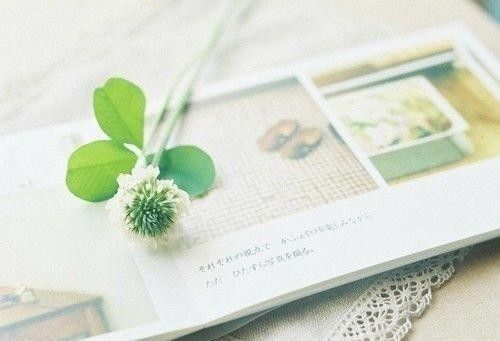 摘自优美的句子