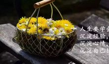 阳光简短励志的唯美句子