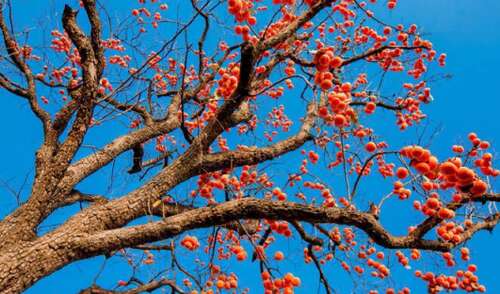 描述幸福最重要的句子