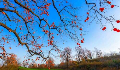 描述幸福最重要的句子1