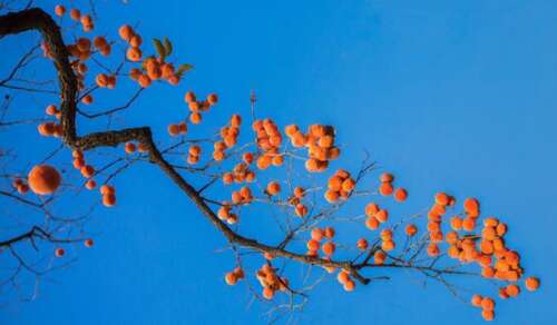 描述幸福最重要的句子2