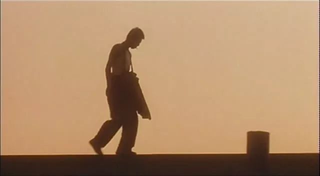 感叹社会现实的句子