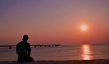 精选现实的句子