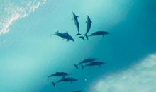 发说说的句子开心