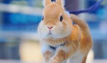 祝喝酒开心的句子