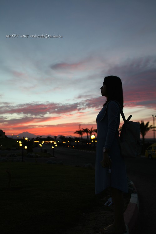 感知社会现实的句子2