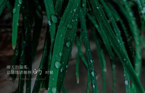 下雨了，说说你的心情1