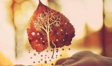 关于牙的开心句子