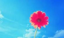 哀思寄语八个字