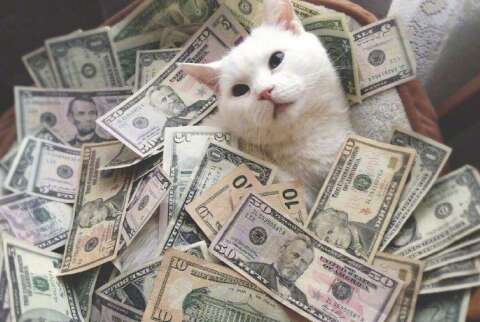 如何使一个女孩快乐