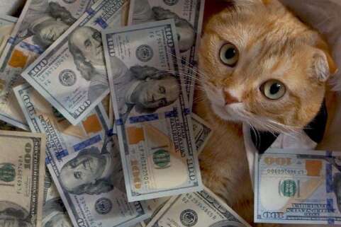 如何使一个女孩开心的句子1