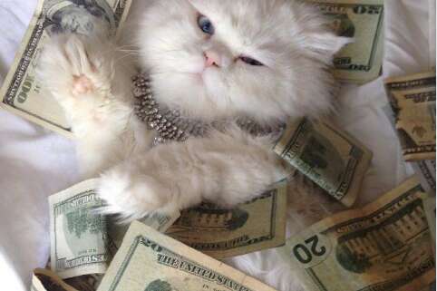 如何使一个女孩开心的一句话2