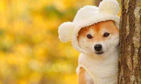 可爱而快乐的句子