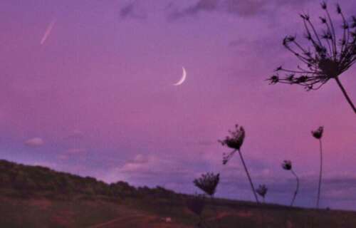 我在天堂想念我的母亲