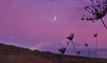 想念天堂妈妈的伤感说说